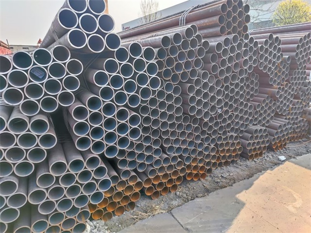 IMG_20230401_160351.jpg IMG_20230401_160351.jpg